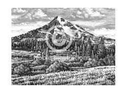 mount hood